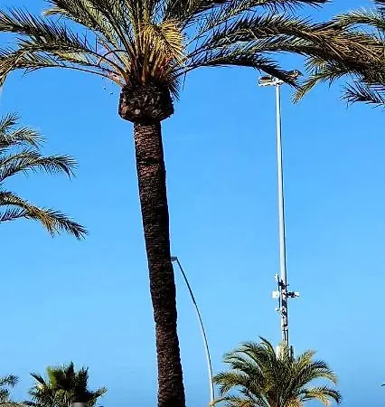 アパート Playa Donana 1